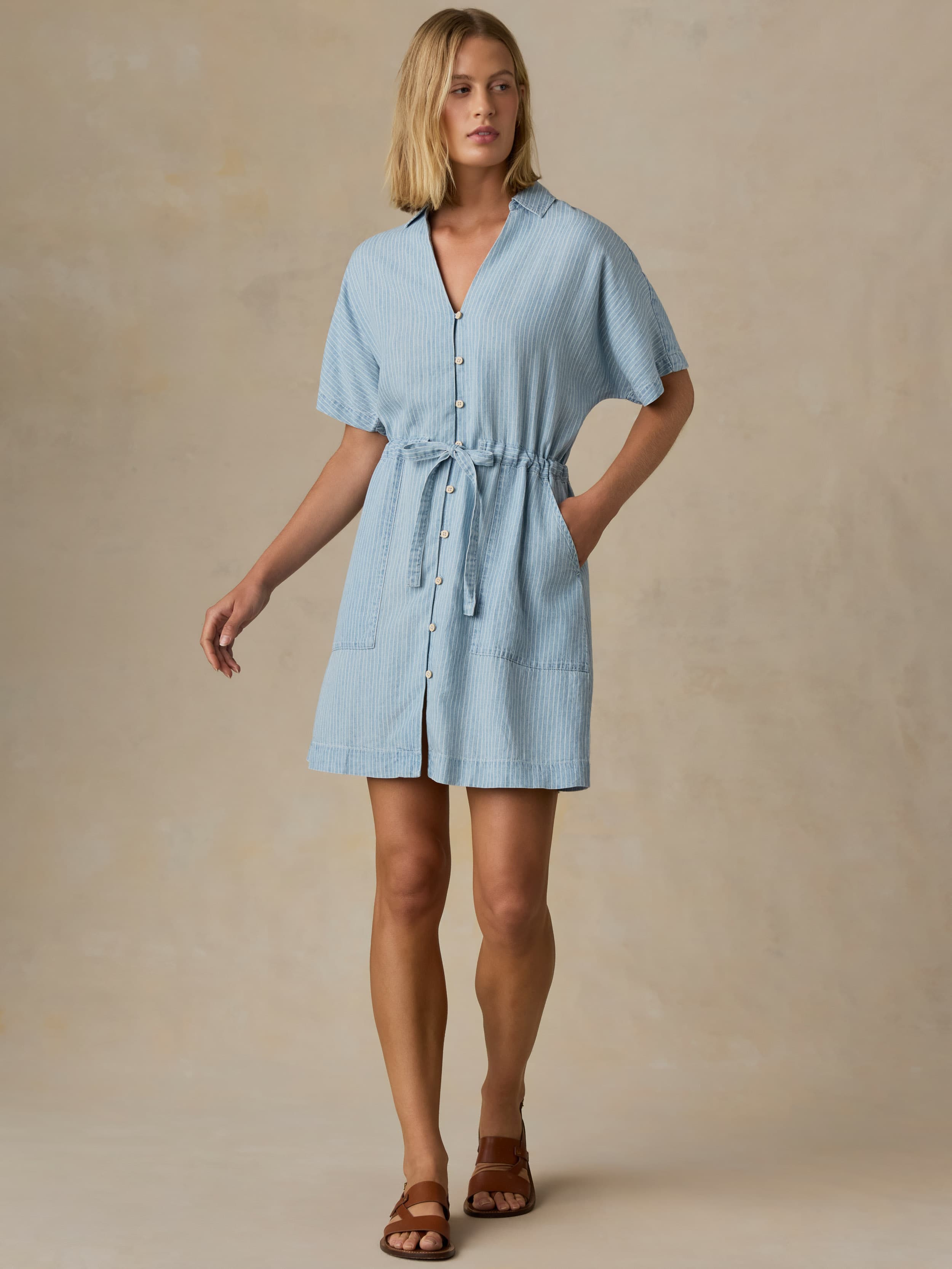 Tried & True Oakley Dress - Bluewater Stripe | Faherty Brand