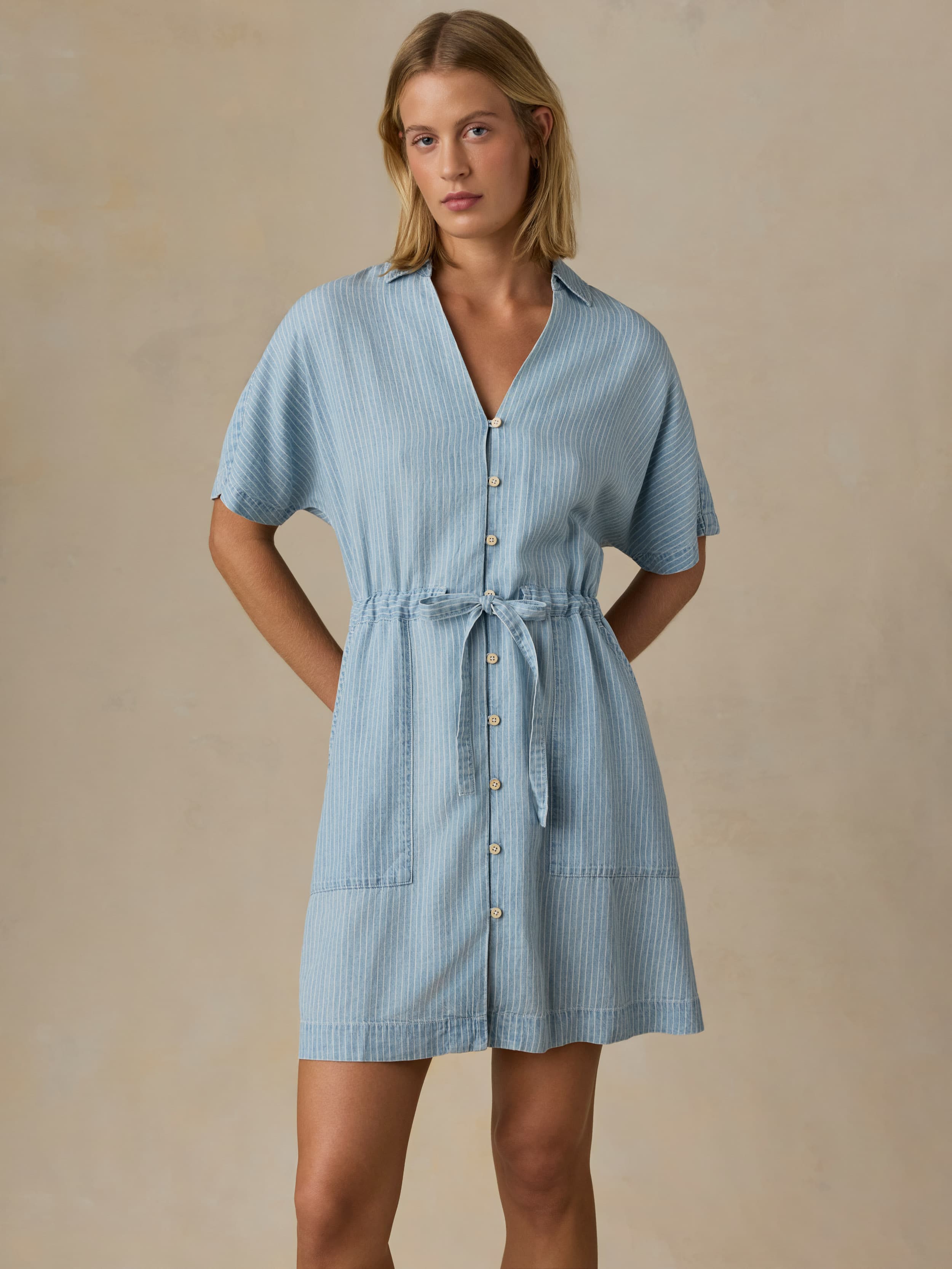 Tried & True Oakley Dress - Bluewater Stripe | Faherty Brand